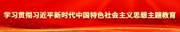 外国白虎男人插女人学习贯彻习近平新时代中国特色社会主义思想主题教育